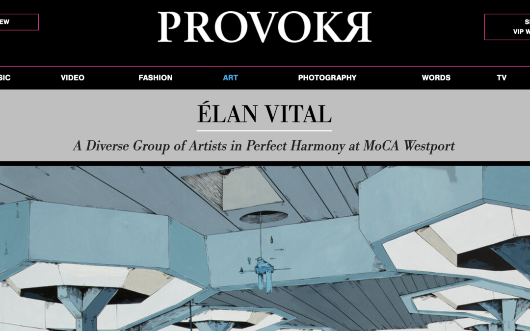 Read about Élan Vital on PROVOKR