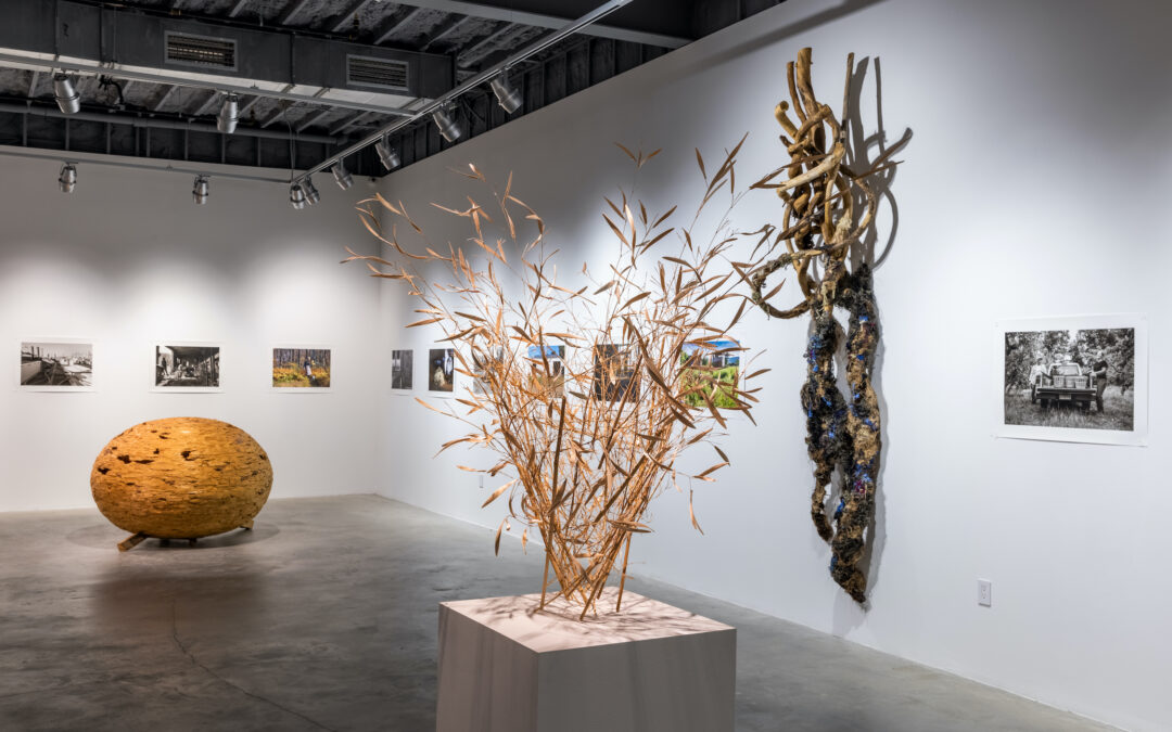 MoCA Westport Announces Free Admission To The Gallery For All Visitors